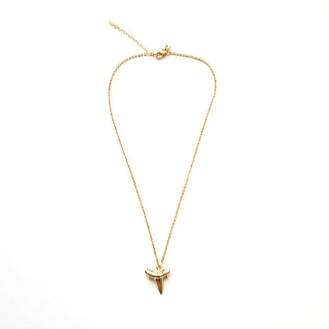 Image of Shark Tooth Pendant Necklace in Gold
