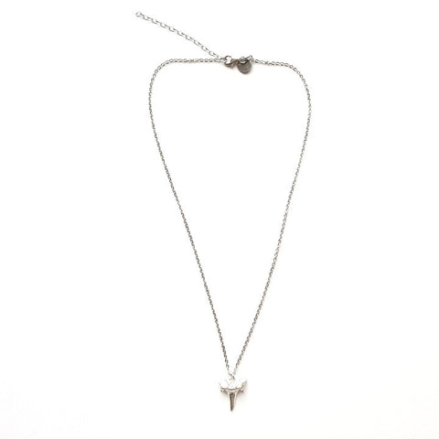 Image of Shark Tooth Pendant Necklace in Silver