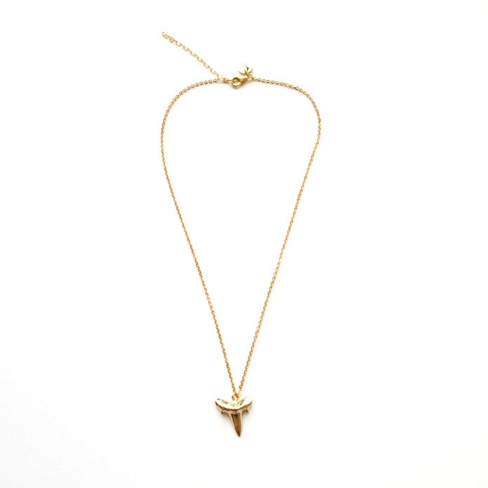 Shark Tooth Pendant Necklace in Gold