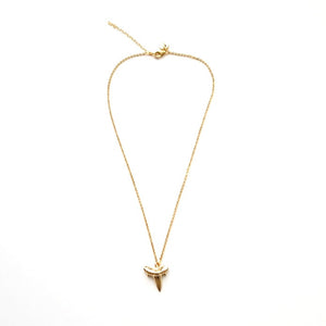 Shark Tooth Pendant Necklace in Gold