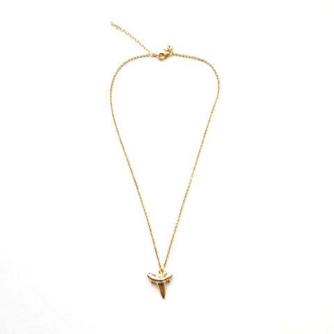 Shark Tooth Pendant Necklace in Gold