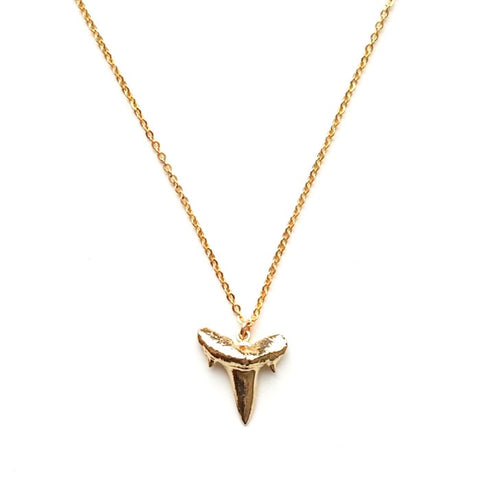 Image of Shark Tooth Pendant Necklace in Gold