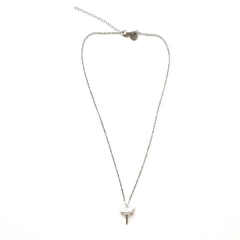 Shark Tooth Pendant Necklace in Silver