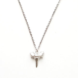 Shark Tooth Pendant Necklace in Silver