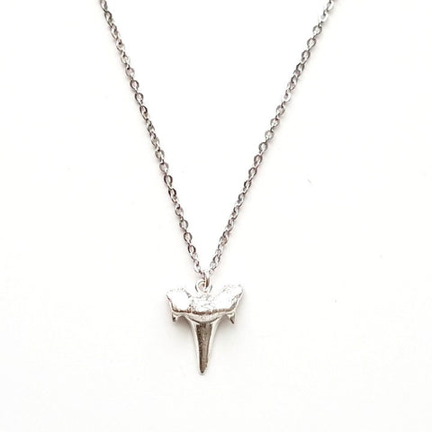 Image of Shark Tooth Pendant Necklace in Silver